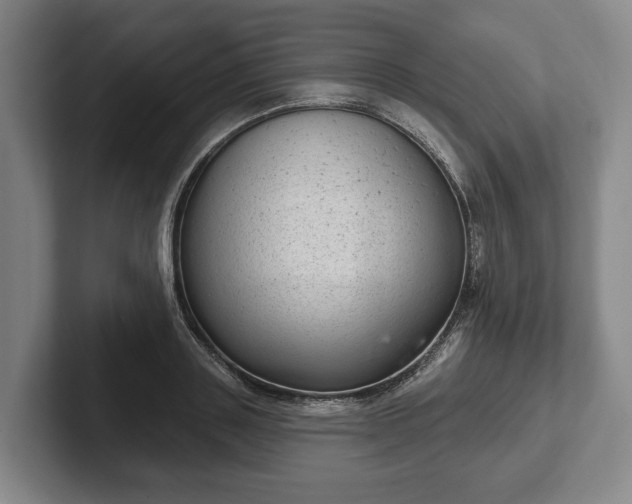 X0000102400843200808081303