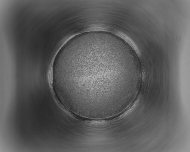 X0000102400844200808081303