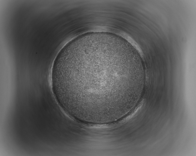 X0000102400845200808081303