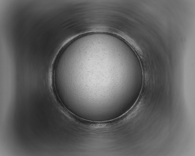 X0000102400846200808081303