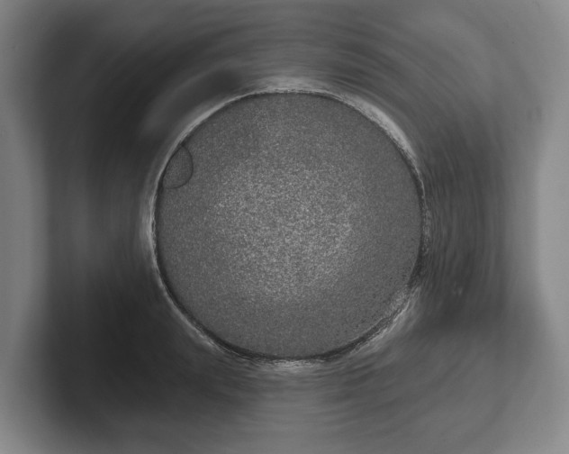 X0000102400847200808081303