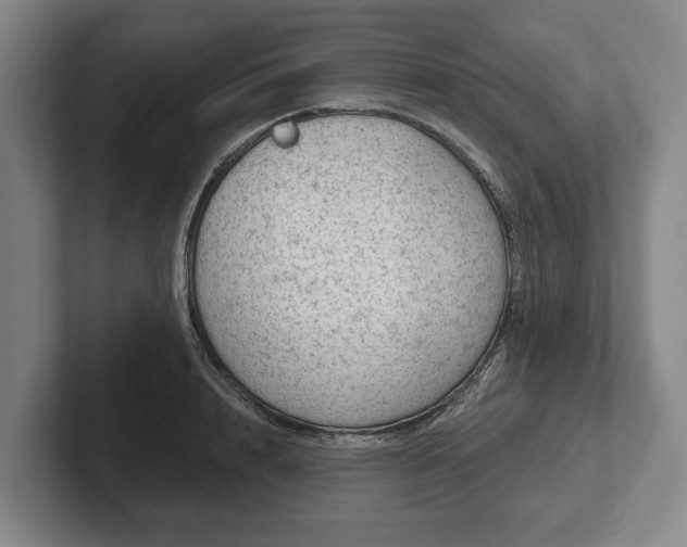 X0000102400848200808081303