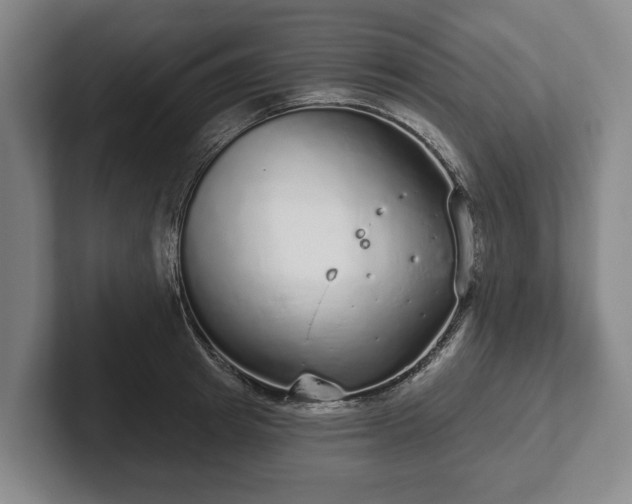 X0000102400849200808081303