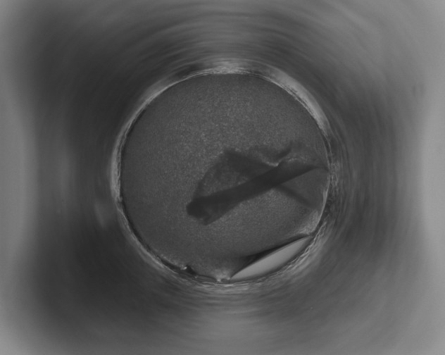 X0000102400851200808081303