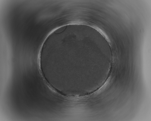 X0000102400854200808081303