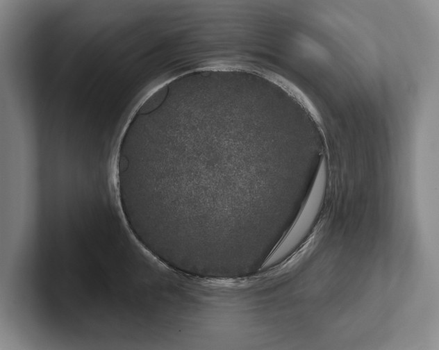 X0000102400855200808081303