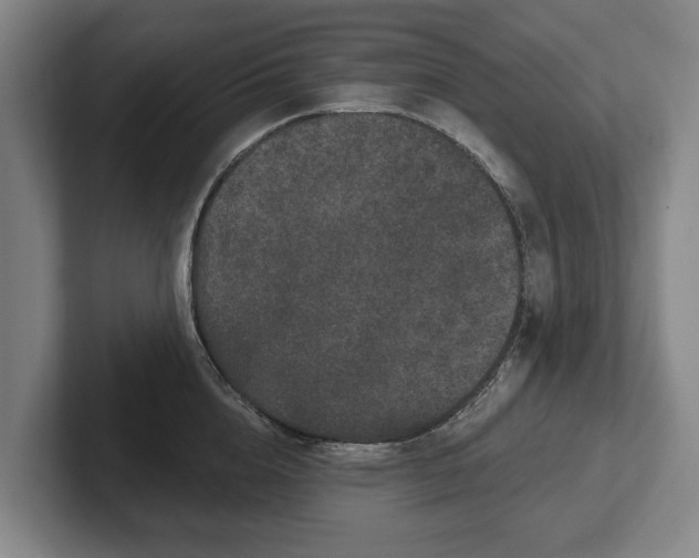 X0000102400856200808081303