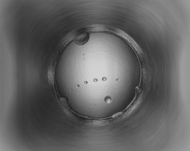 X0000102400857200808081303