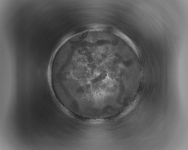 X0000102400859200808081303