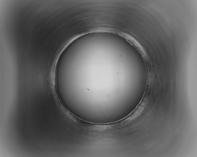 X0000102400860200808081303