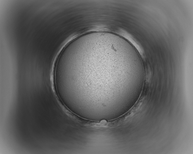 X0000102400861200808081303