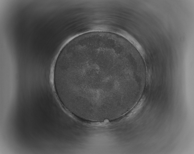 X0000102400862200808081303