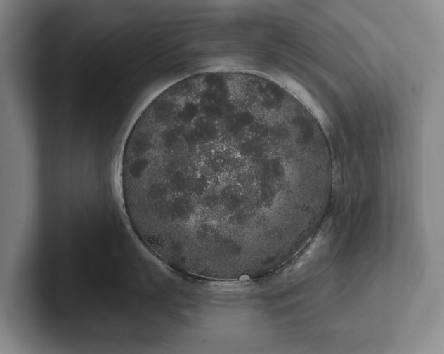 X0000102400863200808081303