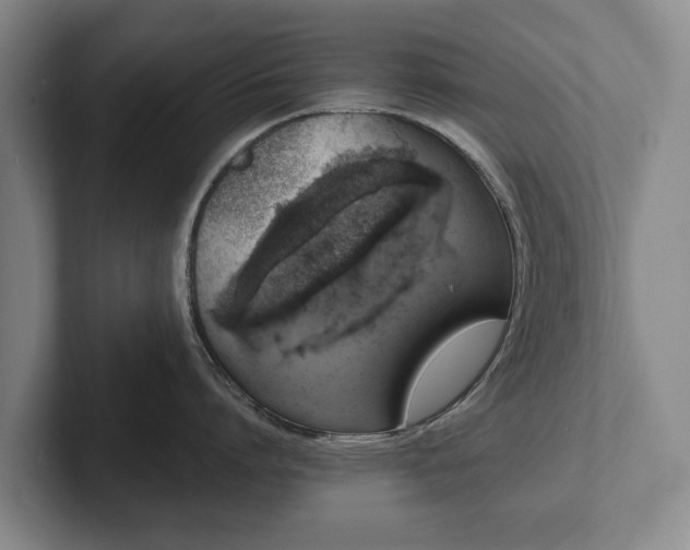 X0000102400864200808081303