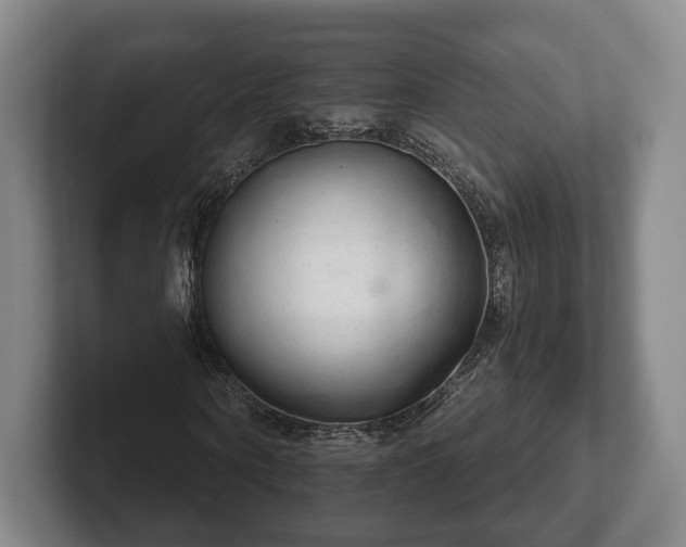 X0000102400866200808081302