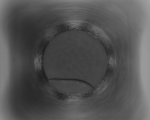 X0000102400868200808081302