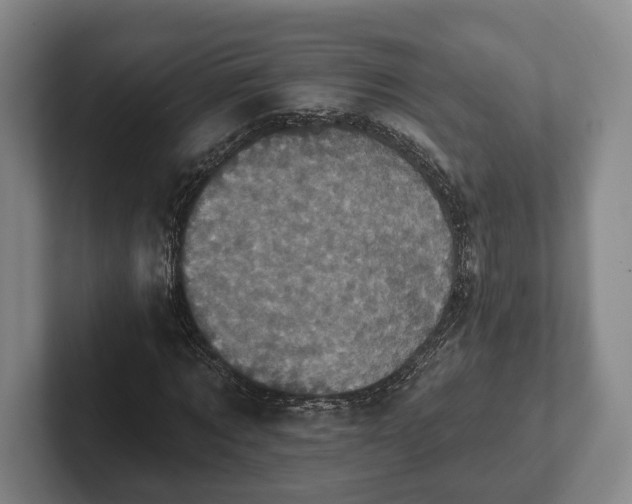 X0000102400869200808081302