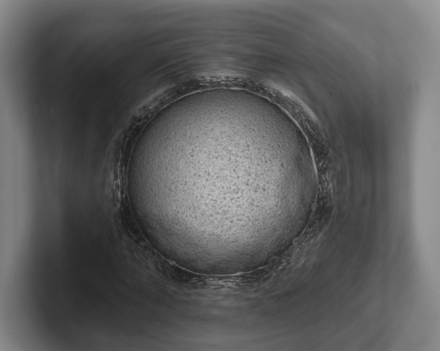 X0000102400870200808081302