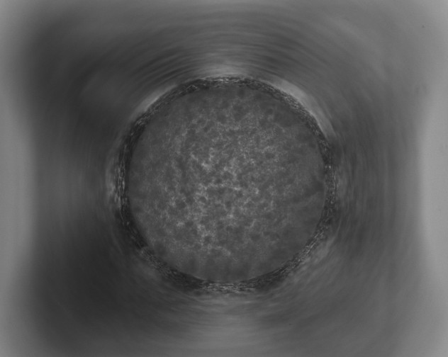 X0000102400871200808081302