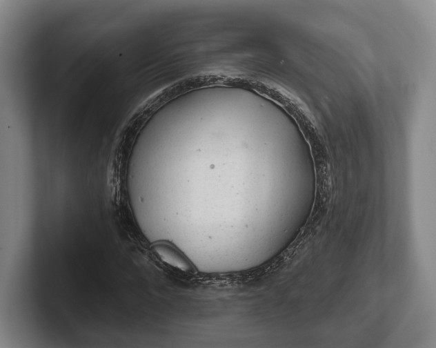 X0000102400872200808081302