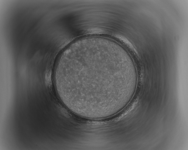 X0000102400873200808081302