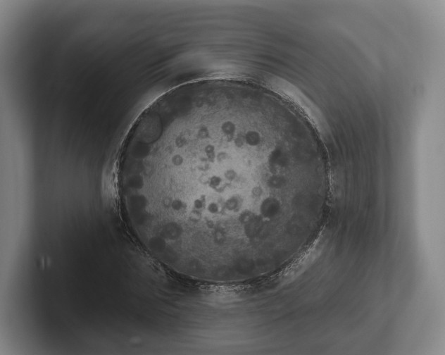 X0000102400875200808081302