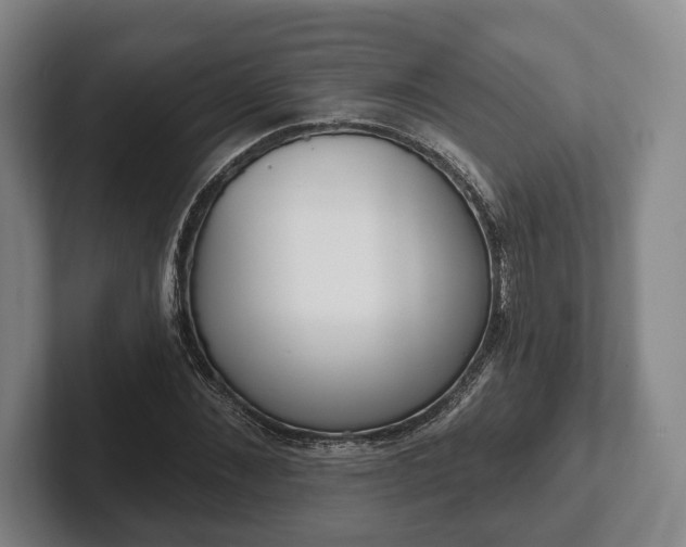 X0000102400876200808081302