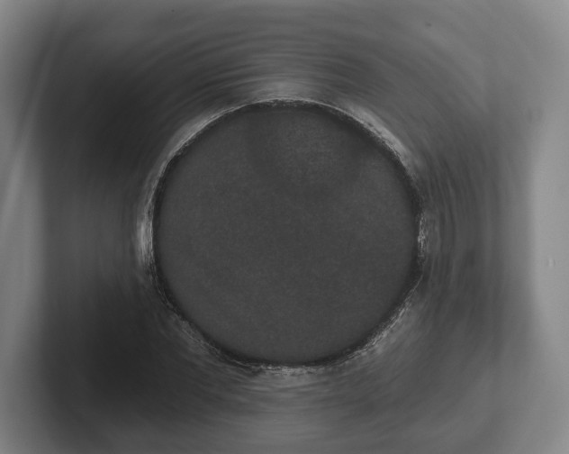 X0000102400877200808081302