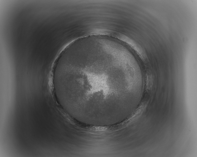 X0000102400878200808081302