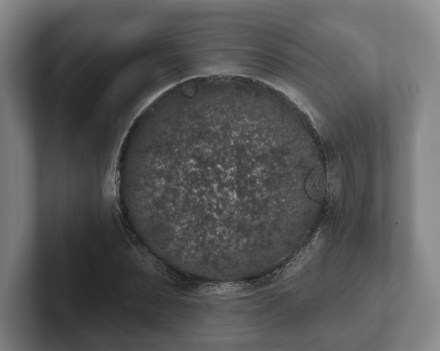 X0000102400879200808081302