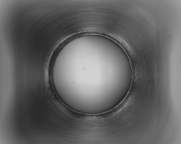 X0000102400880200808081302