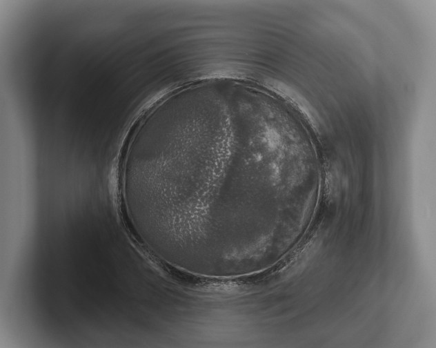 X0000102400882200808081302