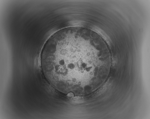 X0000102400883200808081302