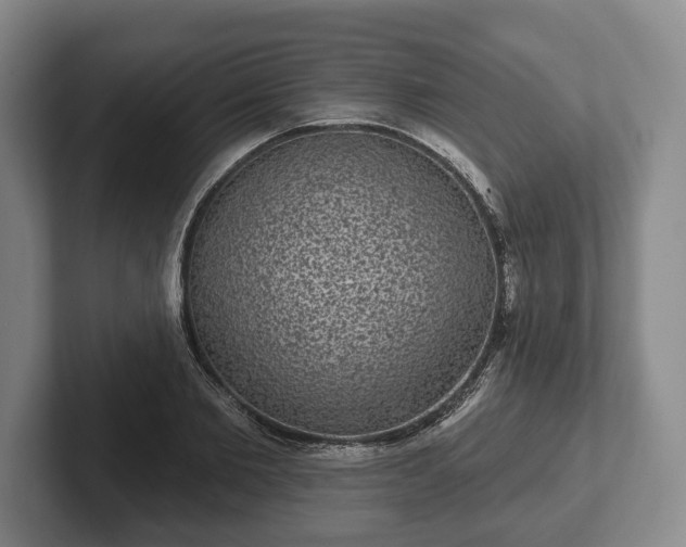 X0000102400885200808081302