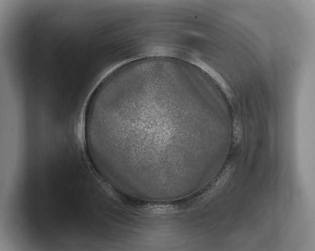 X0000102400886200808081302