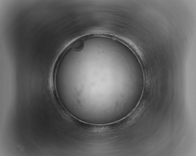 X0000102400887200808081302