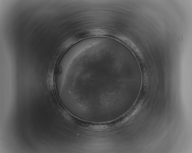 X0000102400889200808081302