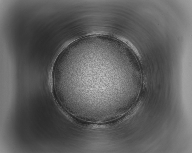 X0000102400890200808081302