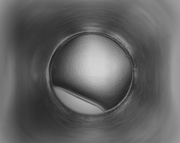 X0000102400891200808081302