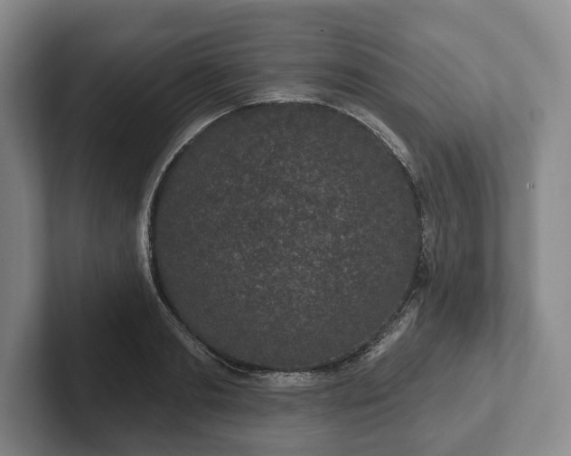 X0000102400893200808081302