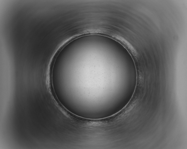 X0000102400894200808081302