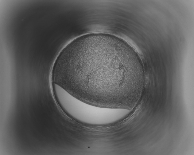 X0000102400895200808081302