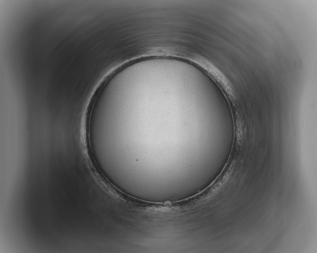 X0000102400896200808081302