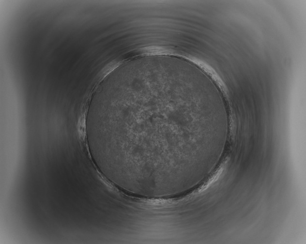 X0000102400897200808081302