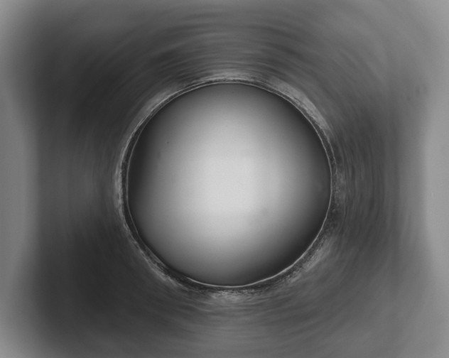 X0000102400898200808081302