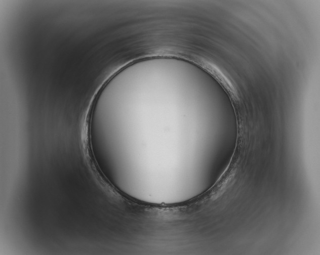 X0000102400900200808081302