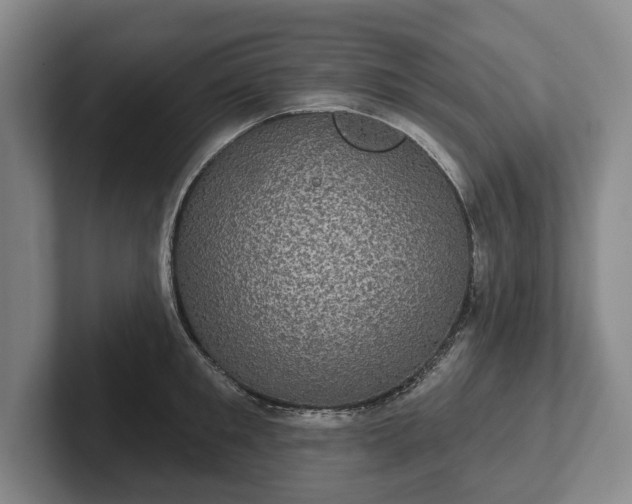 X0000102400901200808081302