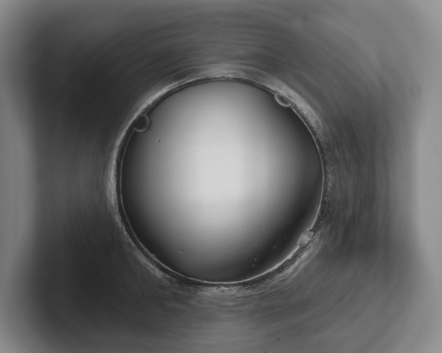 X0000102400902200808081302