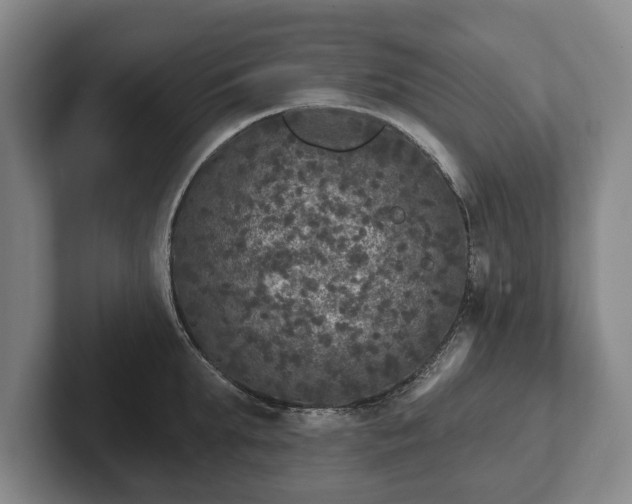 X0000102400903200808081302