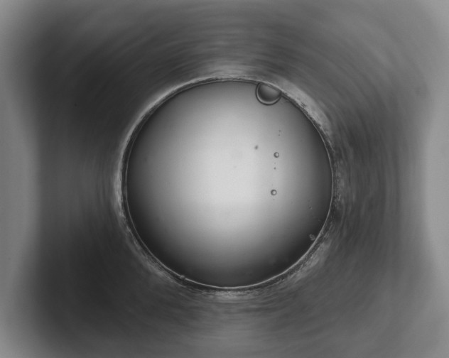 X0000102400904200808081302